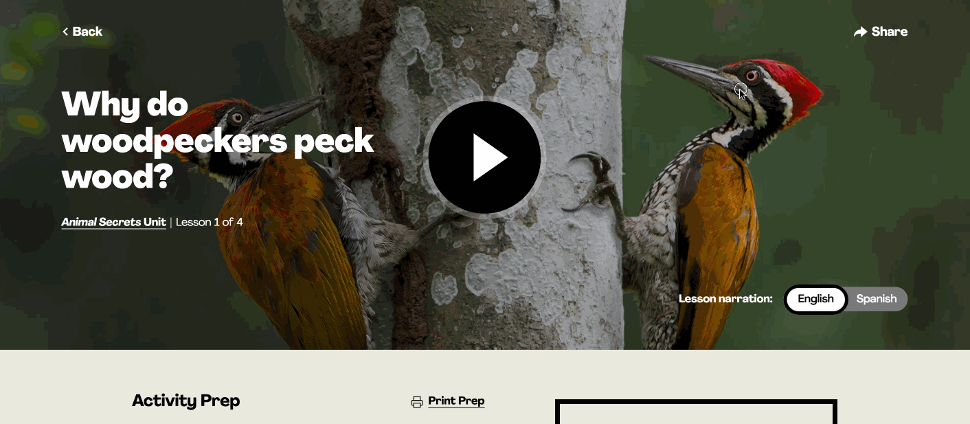 LessonSharing.gif